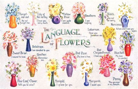 Flower In Different Languages Explore how the word "flower" looks and sounds around the world: read and listen to translations in multiple languages. This site uses cookies. 